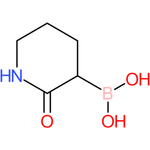 (2-oxopiperidin-3-yl)boronic acid