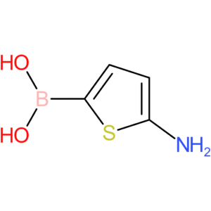 (5-aminothiophen-2-yl)boronic acid