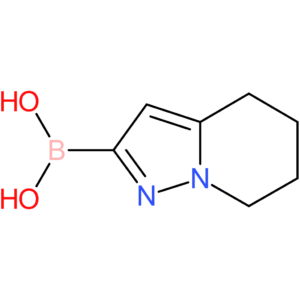 boronic acid, b-(4,5,6,7-tetrahydropyrazolo[1,5-a]pyridin-2-yl)-