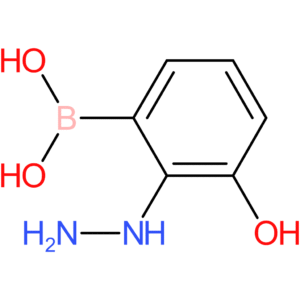 (2-hydrazinyl-3-hydroxyphenyl)boronic acid