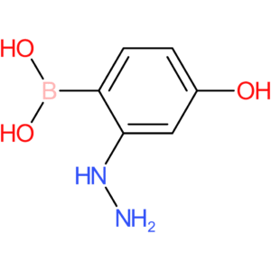 (2-hydrazinyl-4-hydroxyphenyl)boronic acid