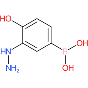 (3-hydrazinyl-4-hydroxyphenyl)boronic acid