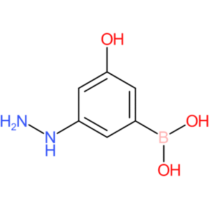 (3-hydrazinyl-5-hydroxyphenyl)boronic acid