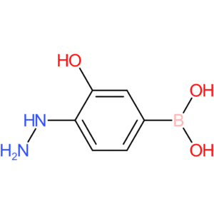 (4-hydrazinyl-3-hydroxyphenyl)boronic acid