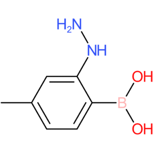 (2-hydrazinyl-4-methylphenyl)boronic acid