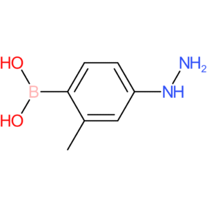 (4-hydrazinyl-2-methylphenyl)boronic acid