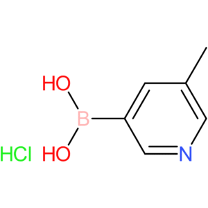 5-methylpyridine-3-boronic acid hydrochloride