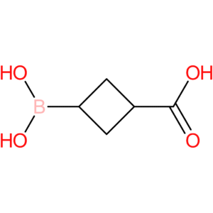3-(dihydroxyboranyl)cyclobutane-1-carboxylic acid