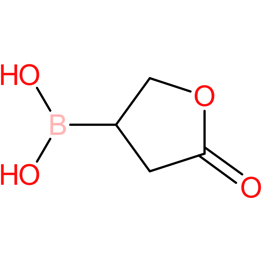 (5-oxooxolan-3-yl)boronic acid