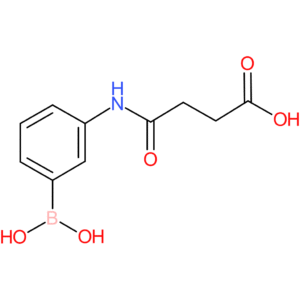 3-(3-carboxypropionylamino)phenylboronic acid