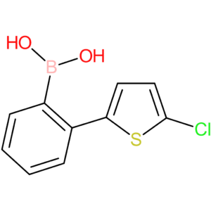 2-(5-chlorothiophen-2-yl)phenylboronic acid