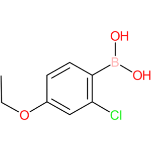 2-chloro-4-ethoxyphenylboronic acid