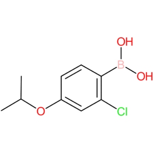 (2-chloro-4-isopropoxyphenyl)boronic acid