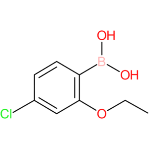 4-chloro-2-ethoxyphenylboronic acid
