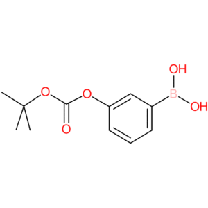 3-t-butoxycarboxyphenylboronic acid