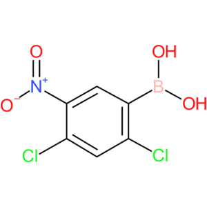 2,4-dichloro-5-nitrophenylboronic acid