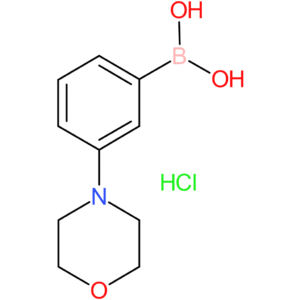 3-morpholinophenylboronic acid hydrochloride