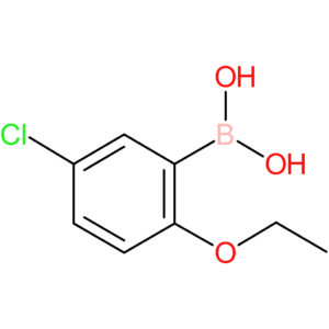 5-chloro-2-ethoxyphenylboronic acid