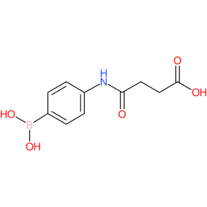 n-(4-phenylboronic)succinamic acid