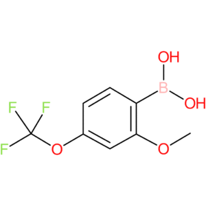 2-methoxy-4-(trifluoromethoxy)-phenylboronic acid