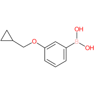 3-(cyclopropylmethoxy)phenylboronic acid