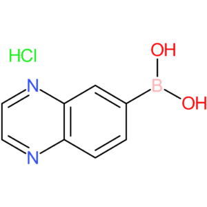 benzopyrazine-6-boronic acid hcl