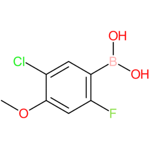5-chloro-2-fluoro-4-methoxyphenylboronic acid