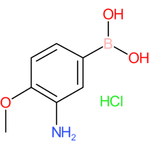 3-amino-4-methoxyphenylboronic acid hcl