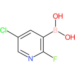 5-chloro-2-fluoropyridine-3-boronic acid