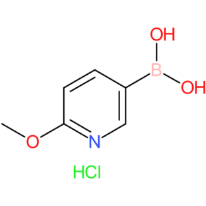 (2-methoxy-5-pyridinyl)boronic acid hydrochloride