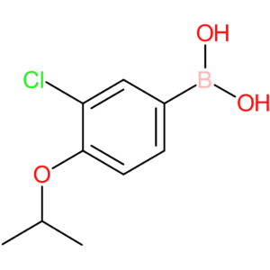 3-chloro-4-isopropoxyphenylboronic acid