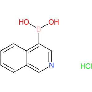 isoquinoline-4-boronic acid hydrochloride