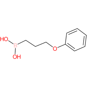 (3-phenoxypropyl)boronic acid