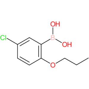 5-chloro-2-propoxyphenylboronic acid