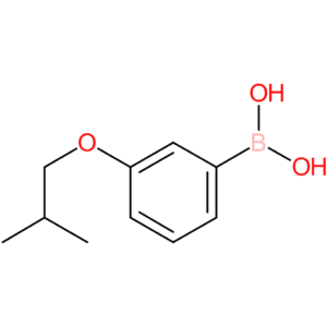 3-isobutoxyphenylboronic acid