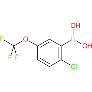 2-chloro-5-(trifluoromethoxy)phenylboronic acid