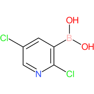 2,5-dichloropyridine-3-boronic acid