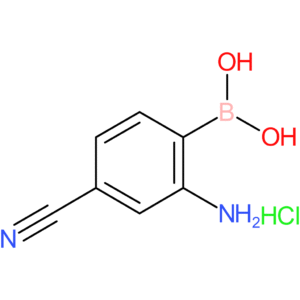 2-amino-4-cyanobenzeneboronic acid hydrochloride
