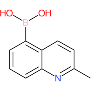 (2-methylquinolin-5-yl)boronic acid