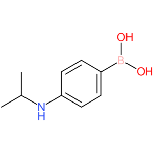 4-(isopropylamino)phenylboronic acid