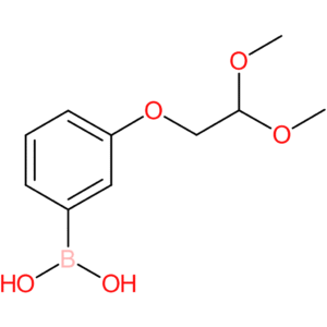 3-(2,2-dimethoxyethoxy)phenylboronic acid