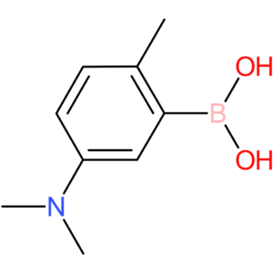5-(dimethylamino)-2-methylphenylboronic acid
