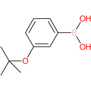 (3-tert-butoxyphenyl)boronic acid
