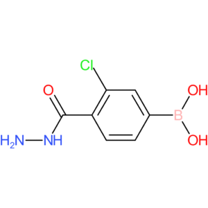 3-chloro-4-(hydrazinocarbonyl)benzeneboronic acid