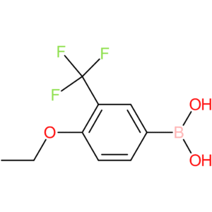 4-ethoxy-3-trifluoromethylphenylboronic acid