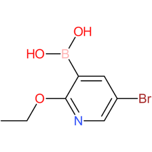 5-bromo-2-ethoxypyridine-3-boronic acid