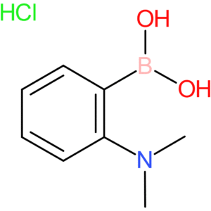 [2-(dimethylamino)phenyl]boronic acid hydrochloride
