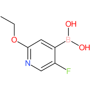 2-ethoxy-5-fluoropyridine-4-boronic acid