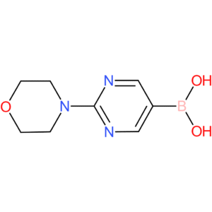 2-morpholinopyrimidin-5-ylboronic acid