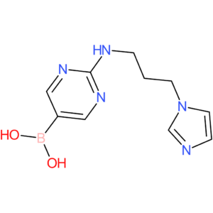 (2-([3-(1h-imidazol-1-yl)propyl]amino)pyrimidin-5-yl)boronic acid